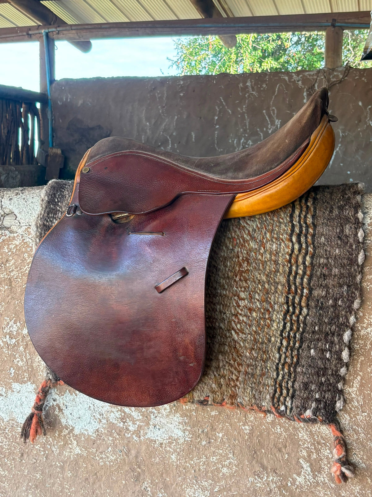 Montura Paseo